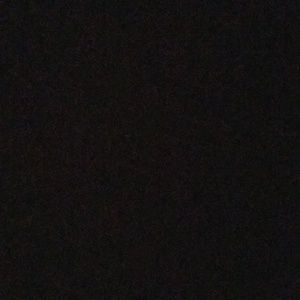 Meet your Posher, Wyatt